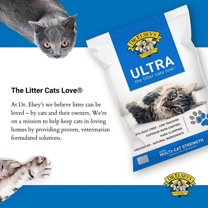 Premium Clumping Cat Litter™