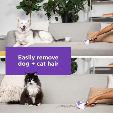 "Embrace Clean Spaces, Enjoy Every Pet Moment"