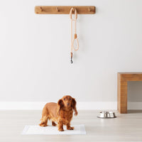 Premium Pet Potty Training PadsTM
