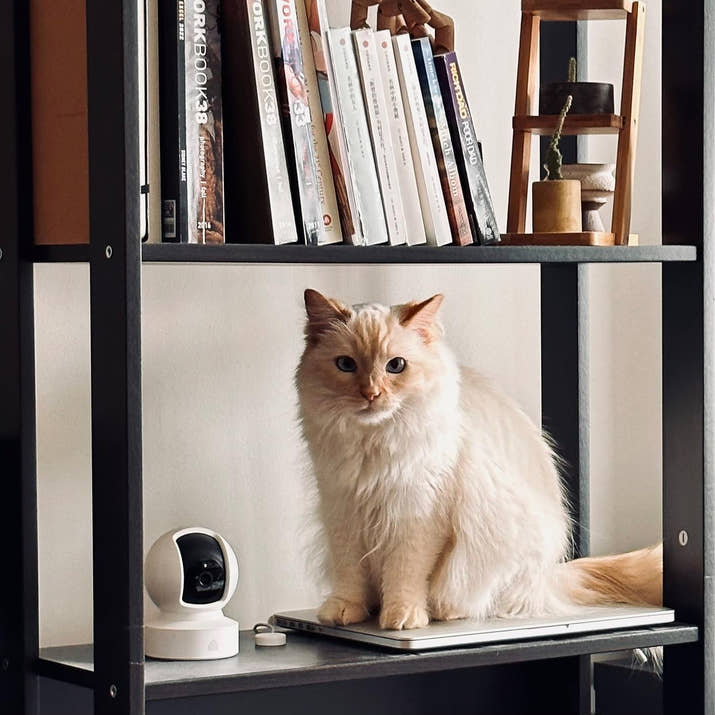 Smart Home Guardian Camera™