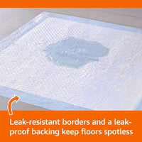 Premium Pet Potty Training PadsTM